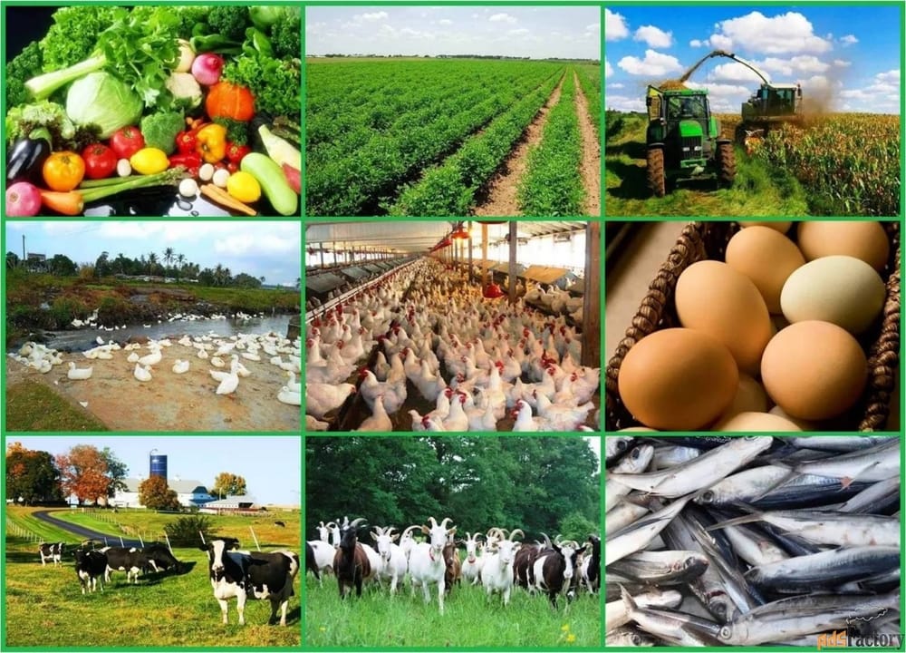 Какую сельхозпродукцию можно экспортировать в Китай, рассказали в Минсельхозе изображение публикации