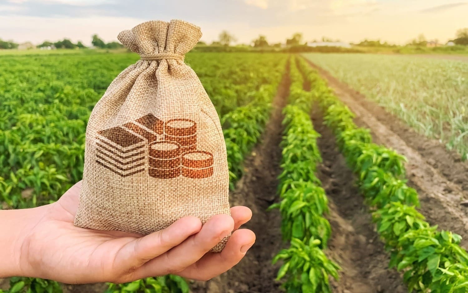 Фермеры КР получили свыше 3 тысяч льготных кредитов почти на 1.25 млрд сомов по проекту «ФСХ-12»