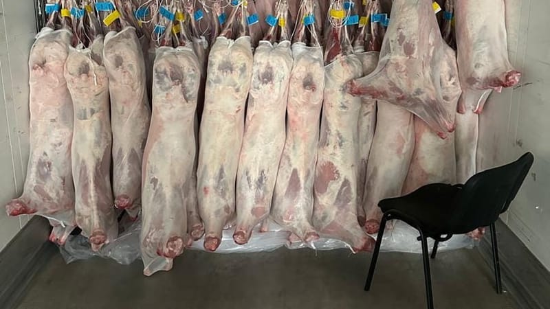 Компания «Торо» возобновила экспорт мяса в Иран изображение публикации