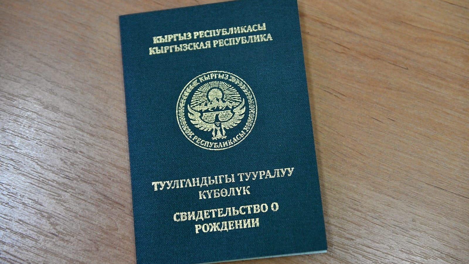 Проект регистрации новорожденных в Кыргызстане вошел в топ-20 мировых цифровых инициатив