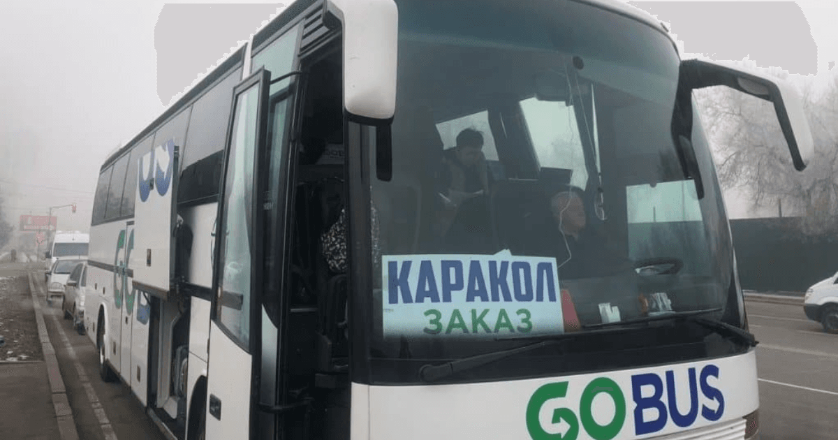 Из аэропорта Иссык-Куль до Бостери запустят челнок Go Bus