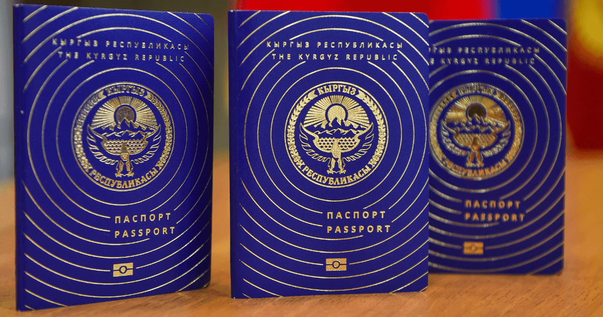 Экс-губернатор и дочь адвоката — кто еще получил кыргызский паспорт вслед за Евгенией Судец