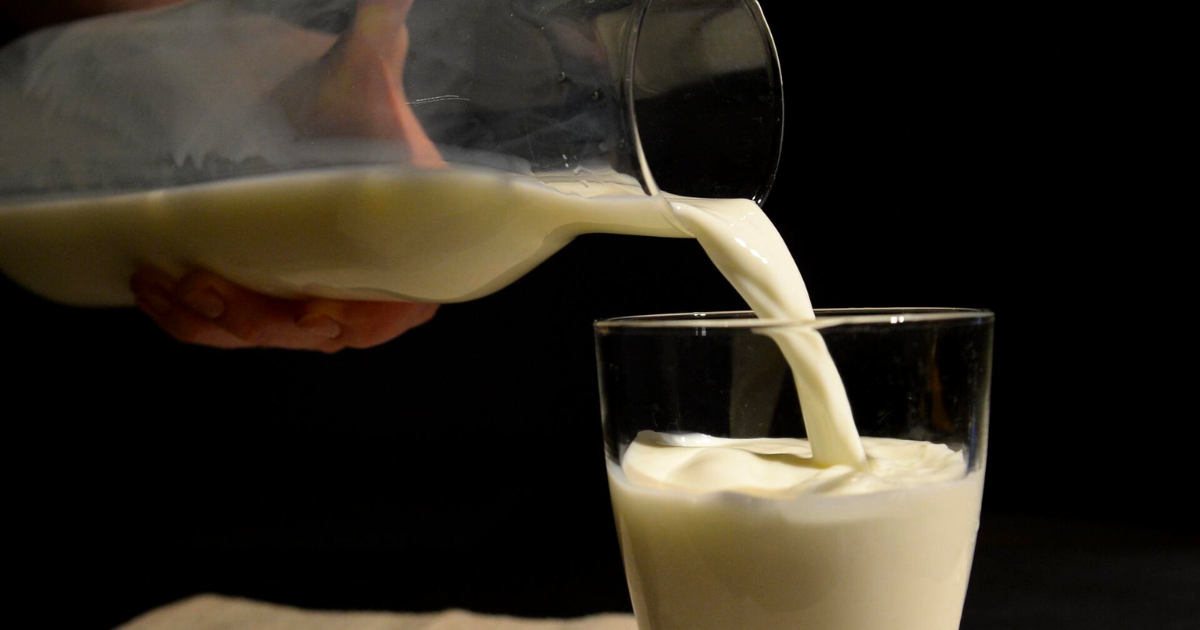 Закупочные цены на молоко хотят установить не ниже 40 сомов за литр