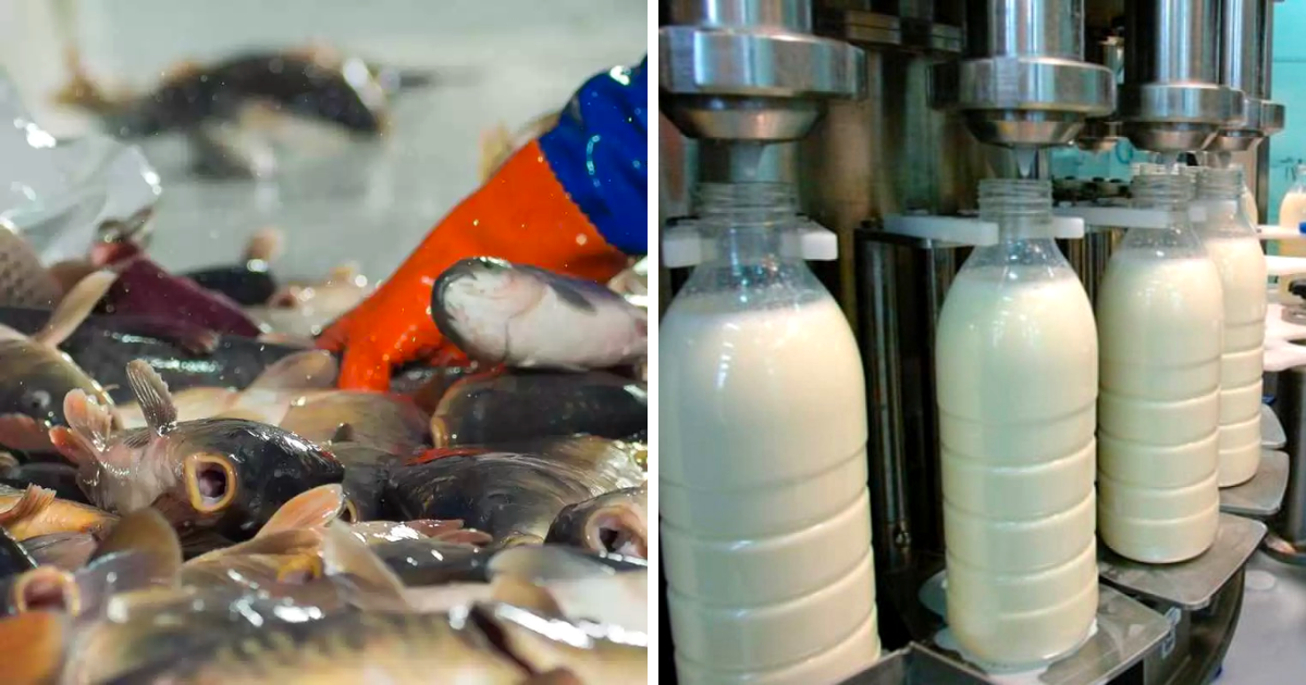 Россельхознадзор проведет онлайн-инспекцию девяти предприятий в Кыргызстане