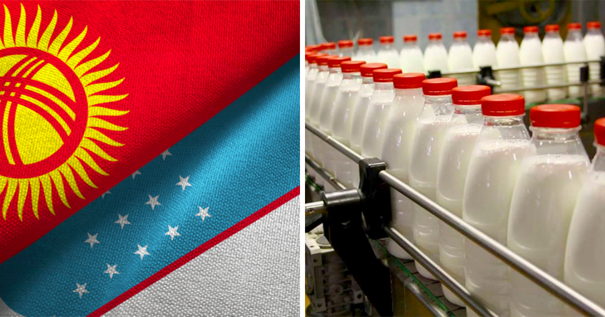 13 молочных предприятий Кыргызстана экспортируют молочку в Узбекистан