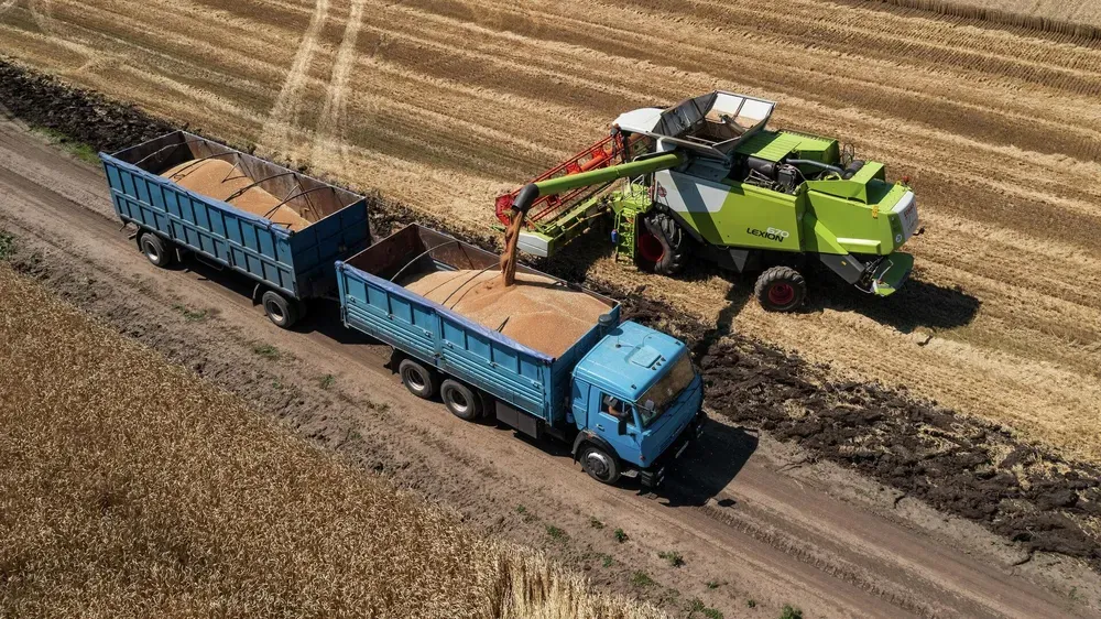 Низкий урожай 2023 года не приведет к дефициту зерна в Кыргызстане - министр сельского хозяйства