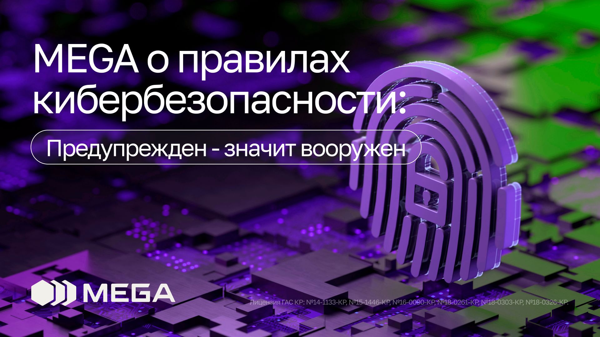 MEGA о правилах кибербезопасности: предупрежден значит вооружен
