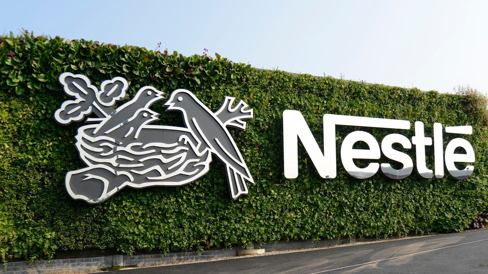 Нацагентство по инвестициям предложило Nestle открыть производство в Кыргызстане