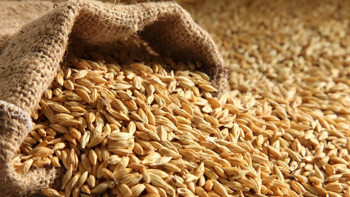 Минсельхоз разбронировал 40 тысяч тонн зерна для мукомолов