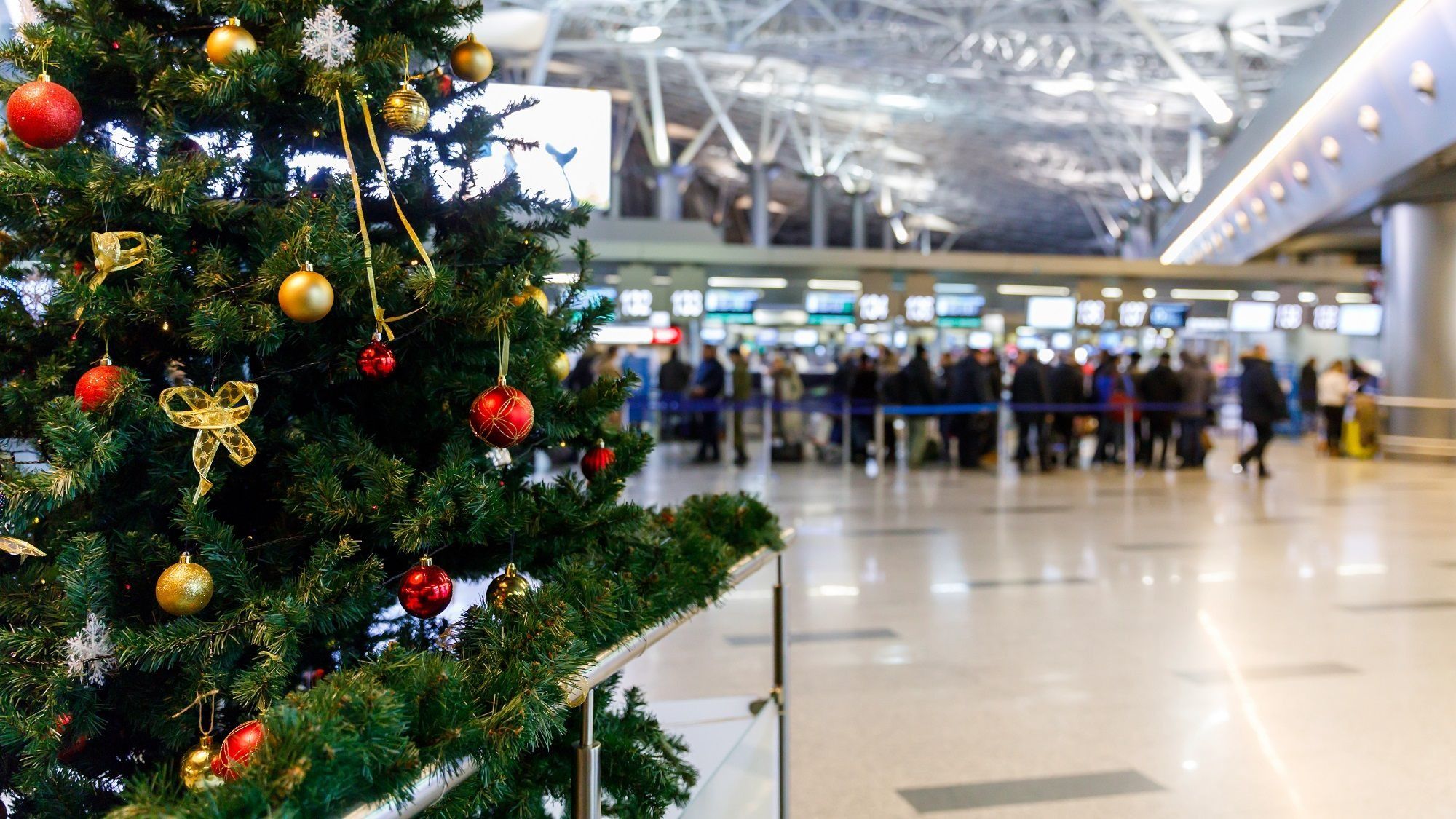 Куда улететь на новогодние праздники из Кыргызстана