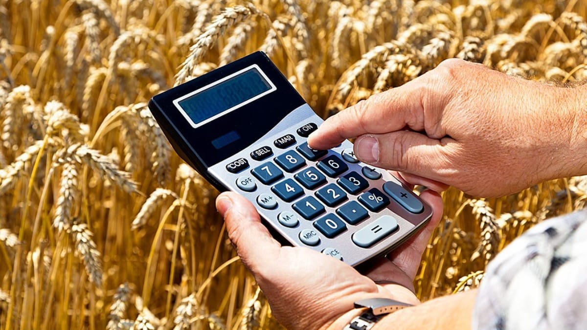 Сельхозбизнес смог получить кредиты почти на 2.7 млрд сомов благодаря Гарантийному фонду
