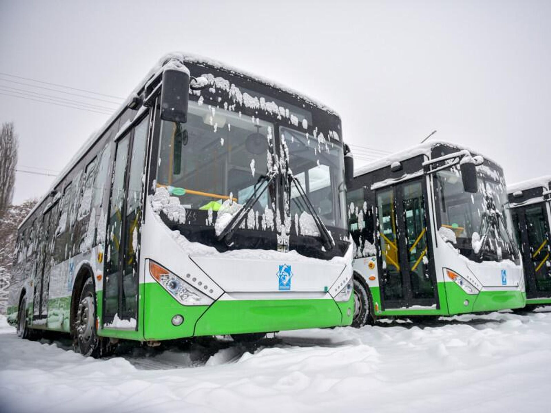Кто сможет бесплатно ездить в муниципальных автобусах и троллейбусах? Ответ мэрии Бишкека