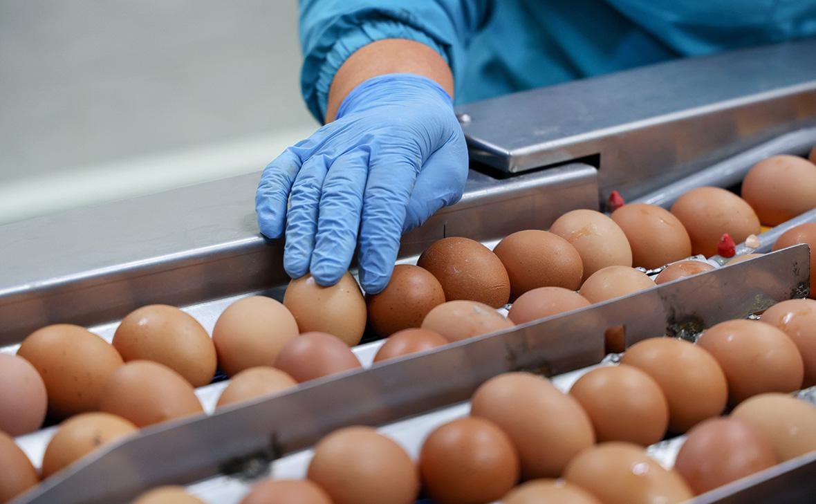 Россия хочет ввести запрет на экспорт яиц – повлияет ли это на Кыргызстан?