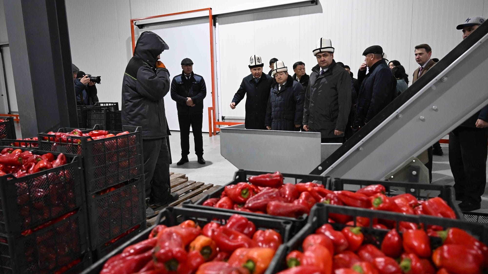 В Чуйской области открыли завод по заморозке фруктов и овощей