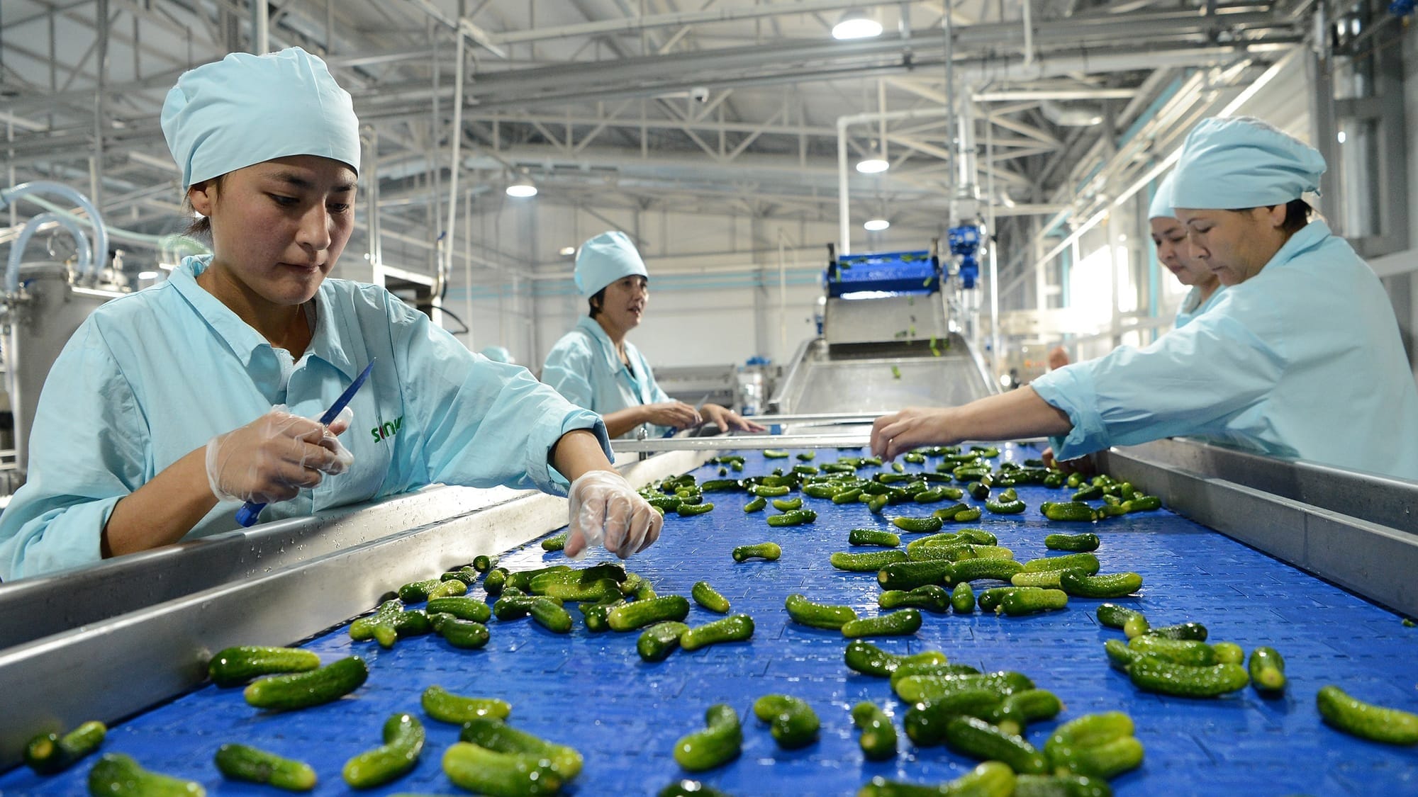 За последние три года в Кыргызстане создали 60 промышленных предприятий