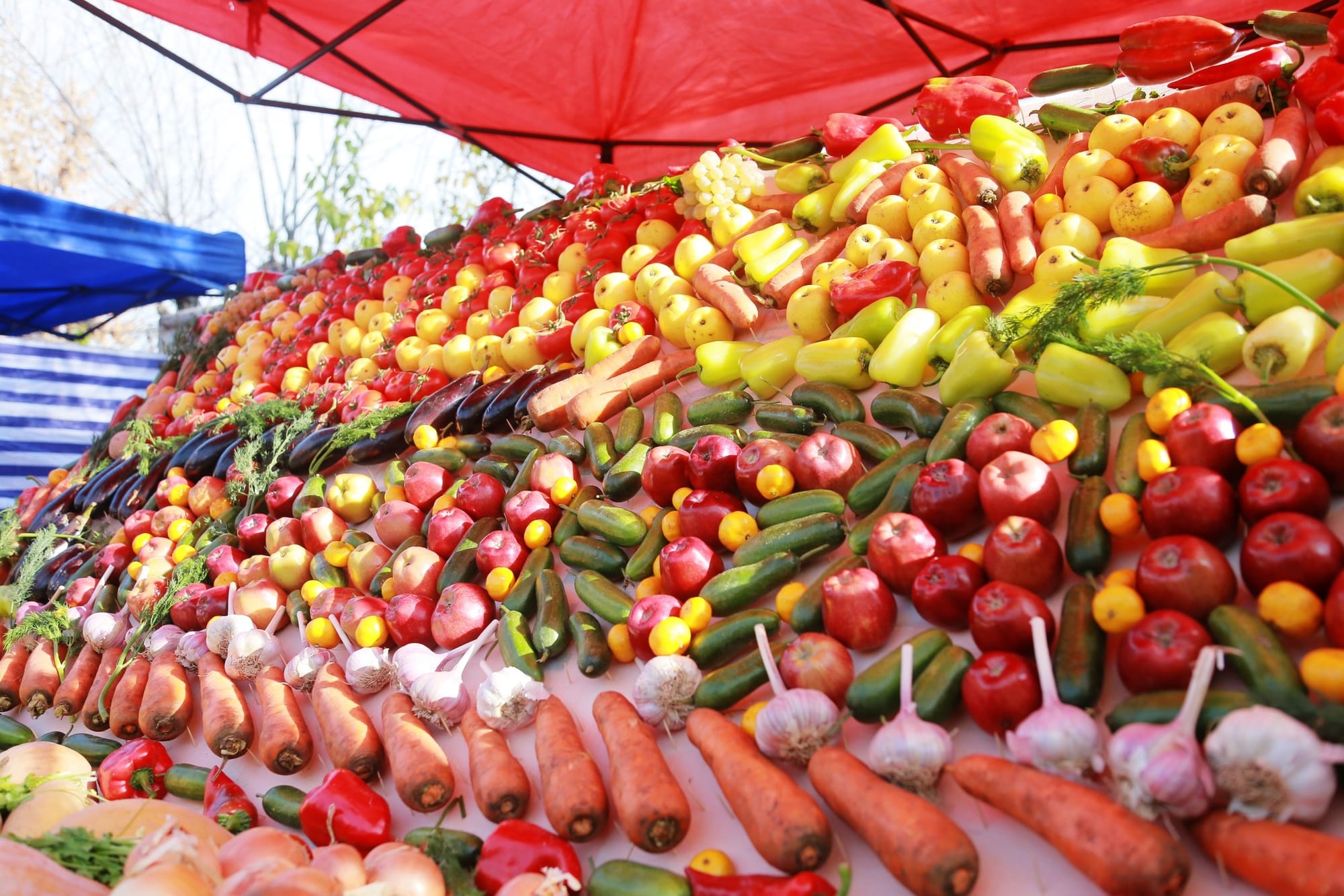 Кыргызстан вошел в топ-5 потребителей плодоовощной продукции из Узбекистана