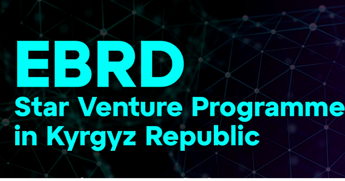 Шесть кыргызстанских стартапов отобрали для участия в программе Star Venture