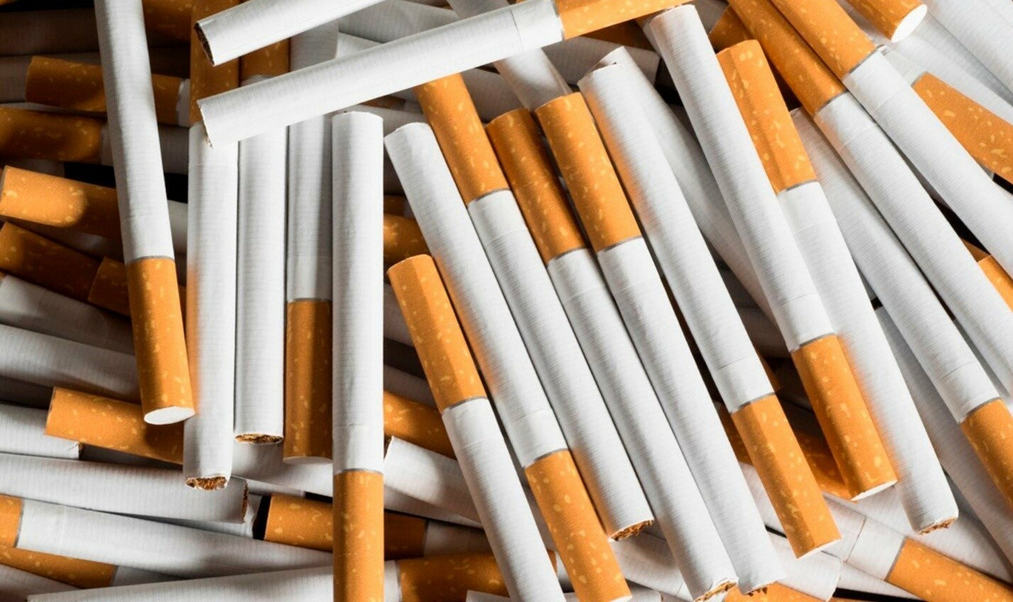 Из Кыргызстана в Казахстан пытались ввезти контрабанду табачных изделий на 808 млн тенге