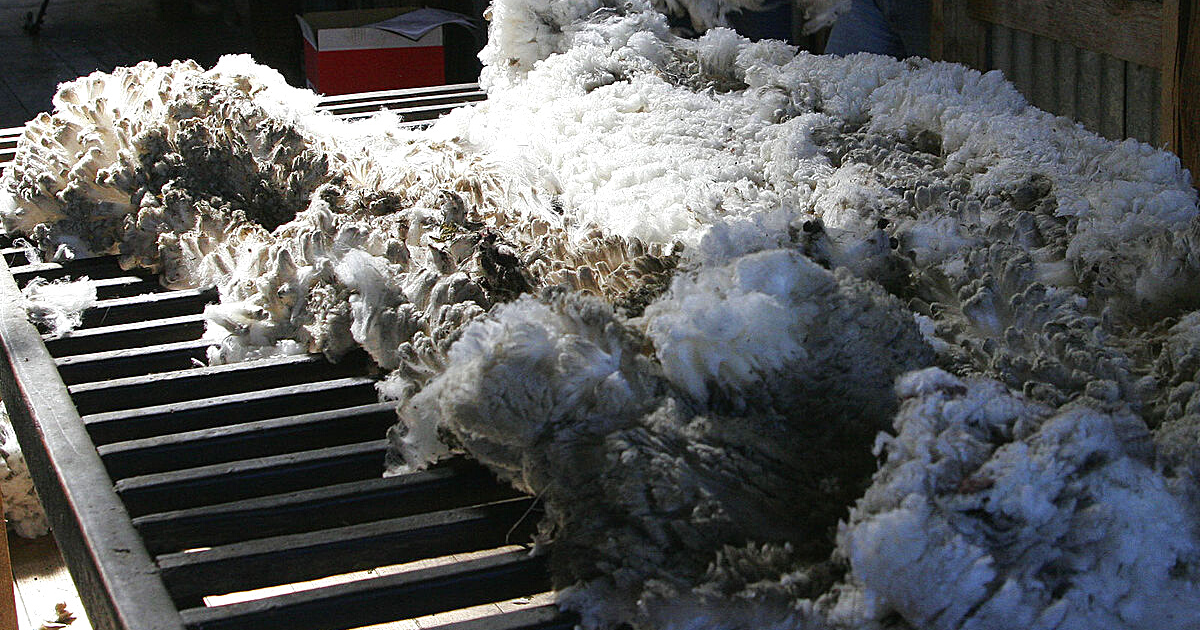 Кыргызстан экспортирует 18 тонн шерсти в Монголию