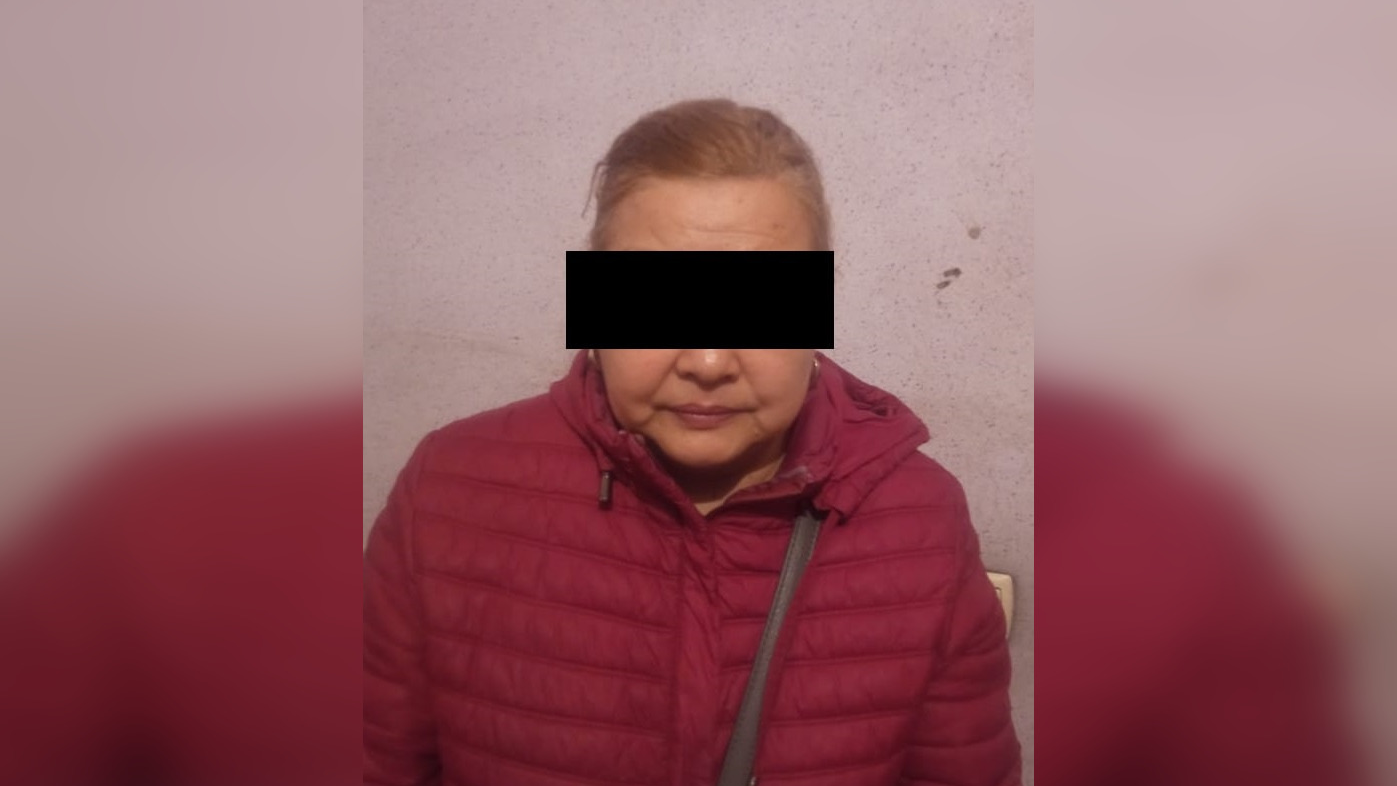 В Сокулукском районе задержана мошенница, продававшая чужие дома