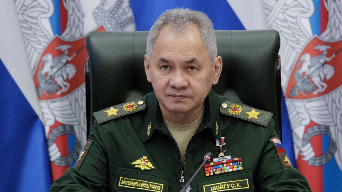 Шойгу раскритиковал НПО в Центральной Азии за «антироссийскую» деятельность