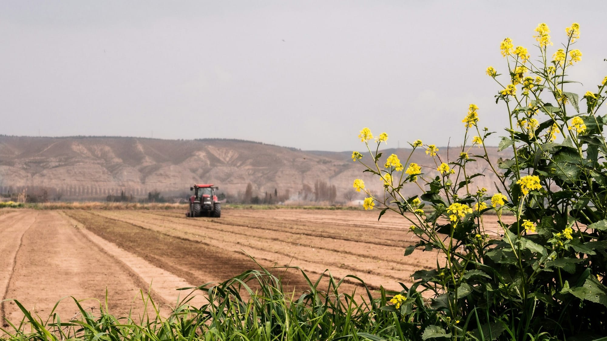 Кабмин намерен создать агрохолдинг для помощи фермерам КР в продаже продукции