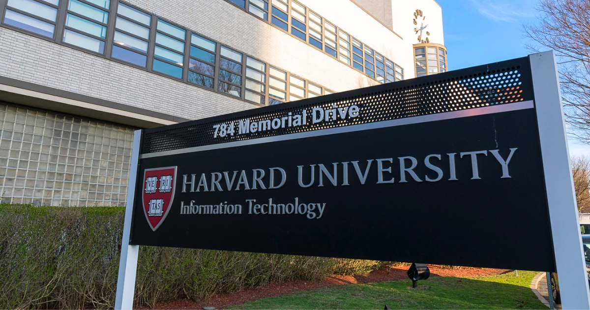 Представители Гарварда разработали проект внедрения ИИ в образование КР