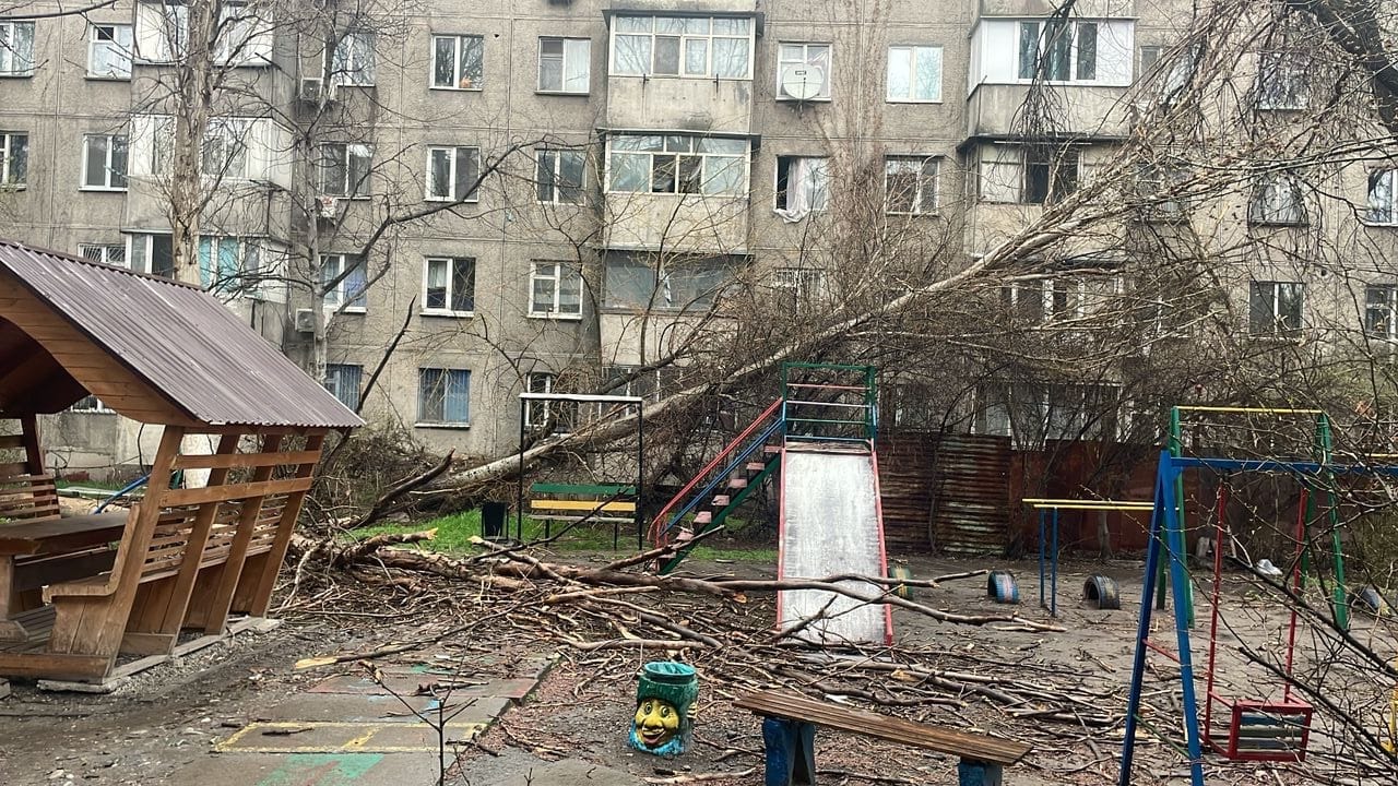 Последствия урагана в Чуйской области и Бишкеке: 10 пострадавших, 154 поврежденных объекта
