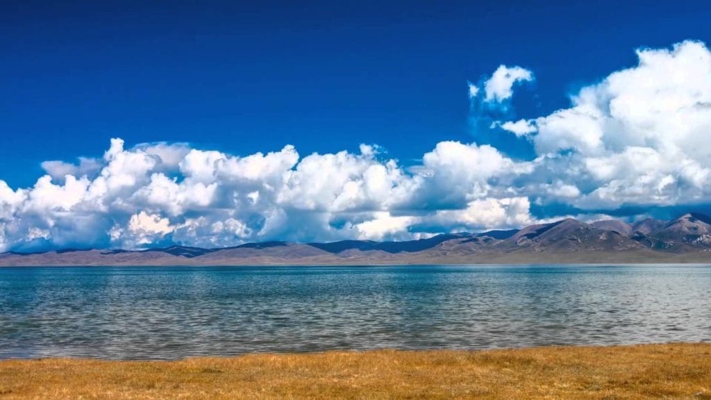 В озеро Сон-Куль выпустили 4.8 млн мальков сига-лудоги