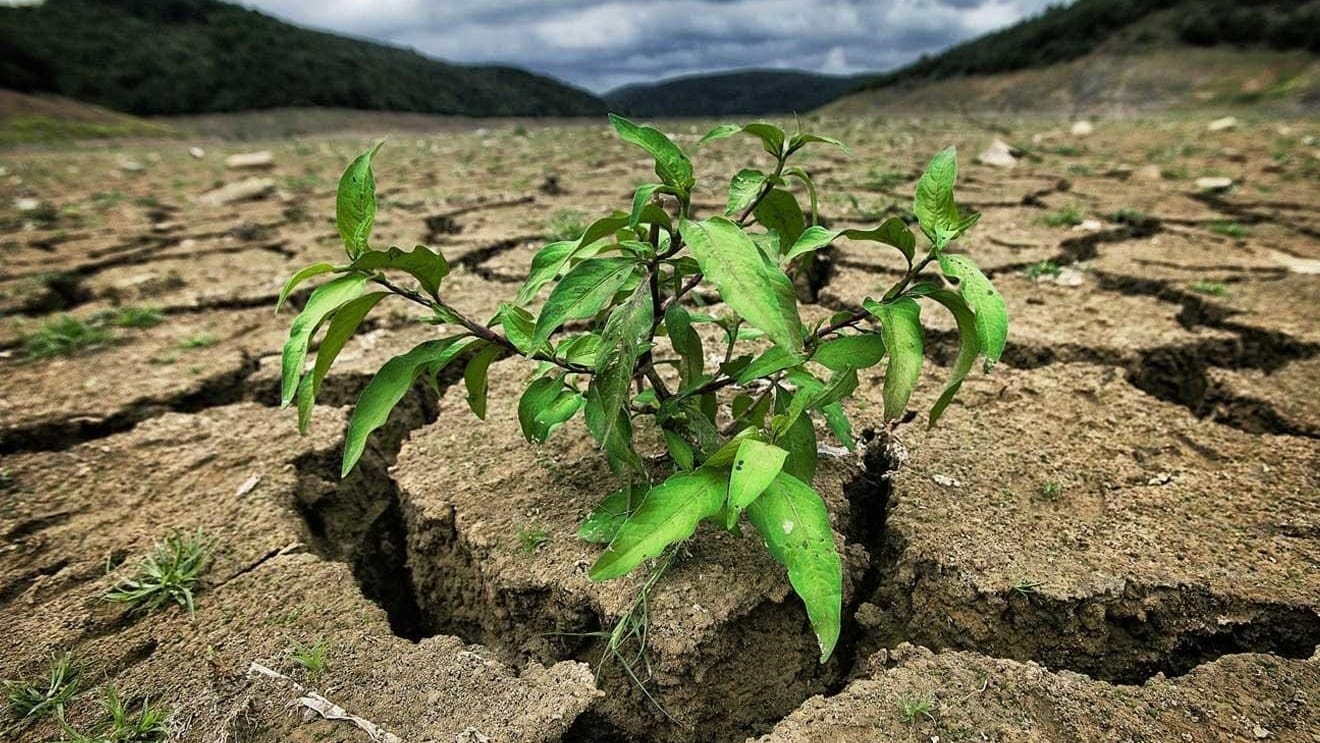 В сельское хозяйство КР хотят внедрить три климатических проекта стоимостью $250 млн
