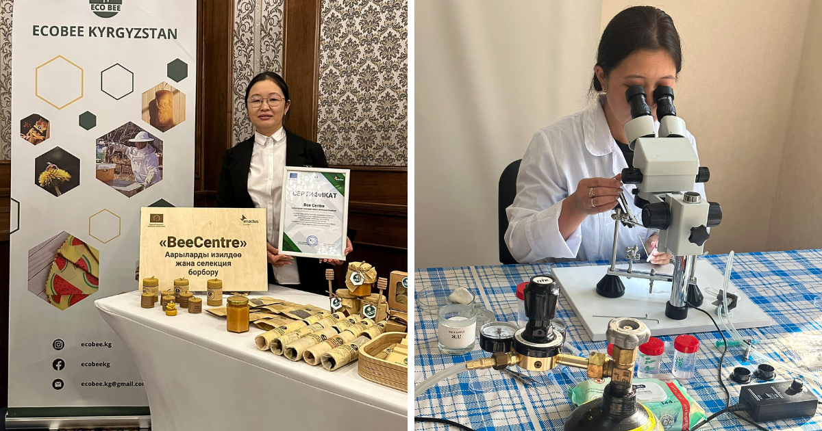 Как Дилбара создает эко-продукты из пчелиного воска и выводит первую кыргызстанскую породу пчел – интервью