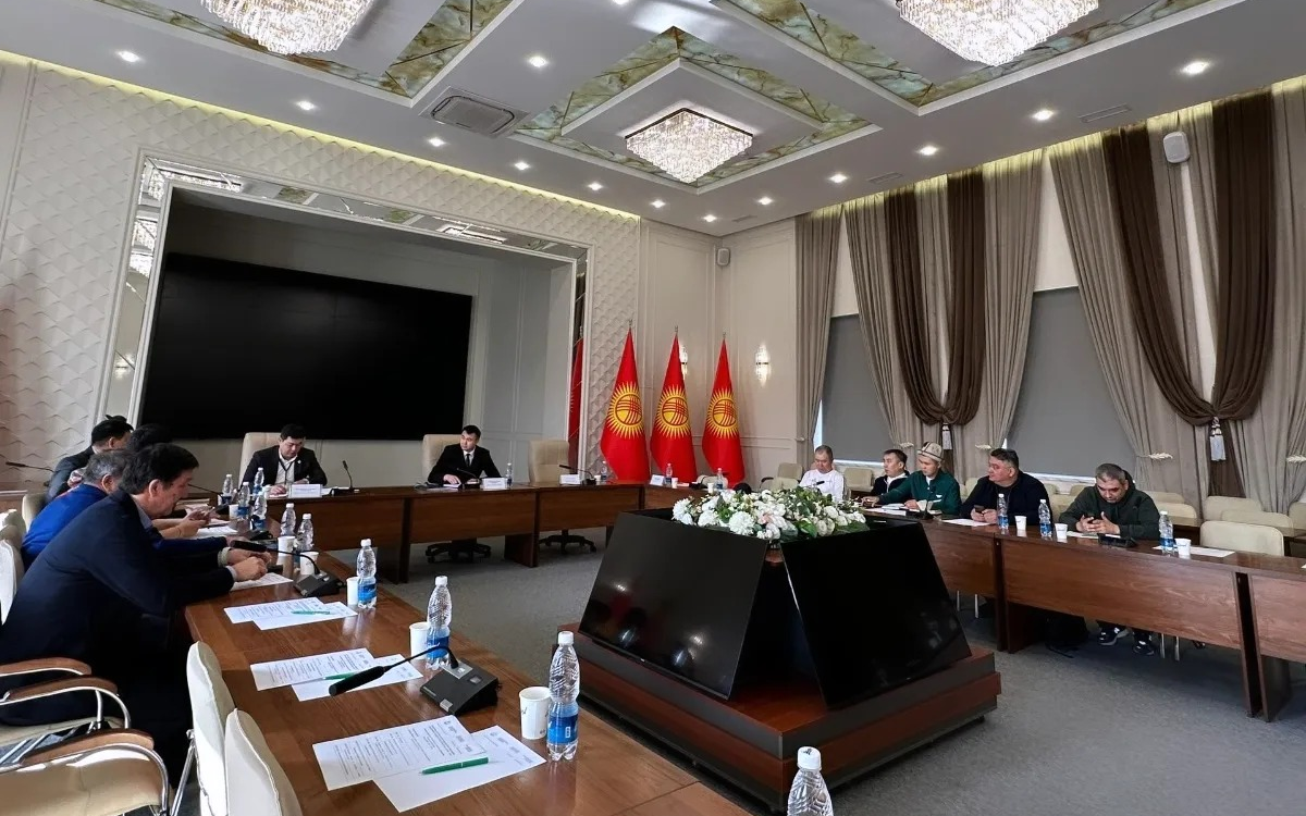 В Бишкеке обсудили увеличение количества авиарейсов для развития туризма в Кыргызстане