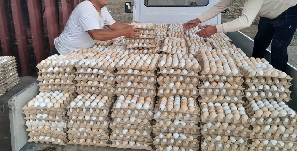 Таможенники в Баткене уничтожили 30 тысяч яиц