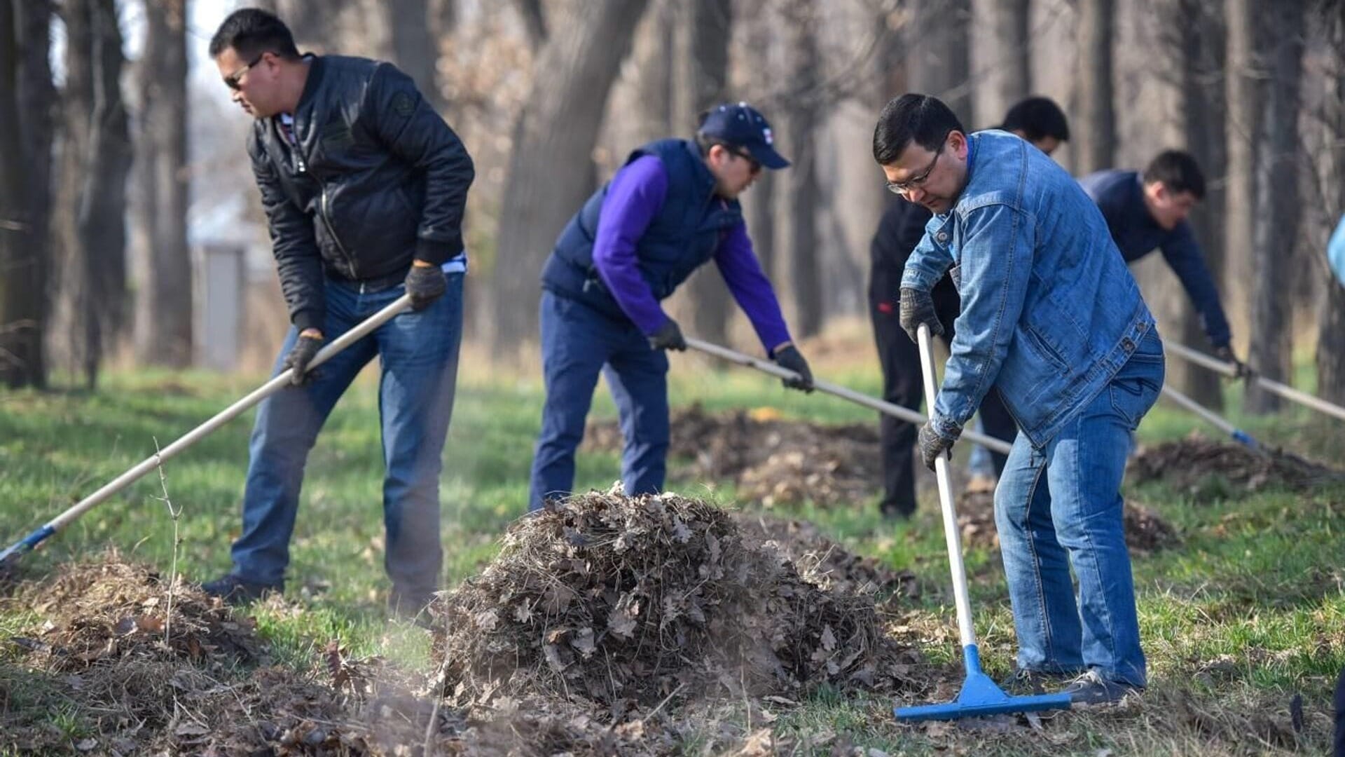 В Бишкеке посадили 615 деревьев и вывезли 270 тонн мусора – итоги субботника