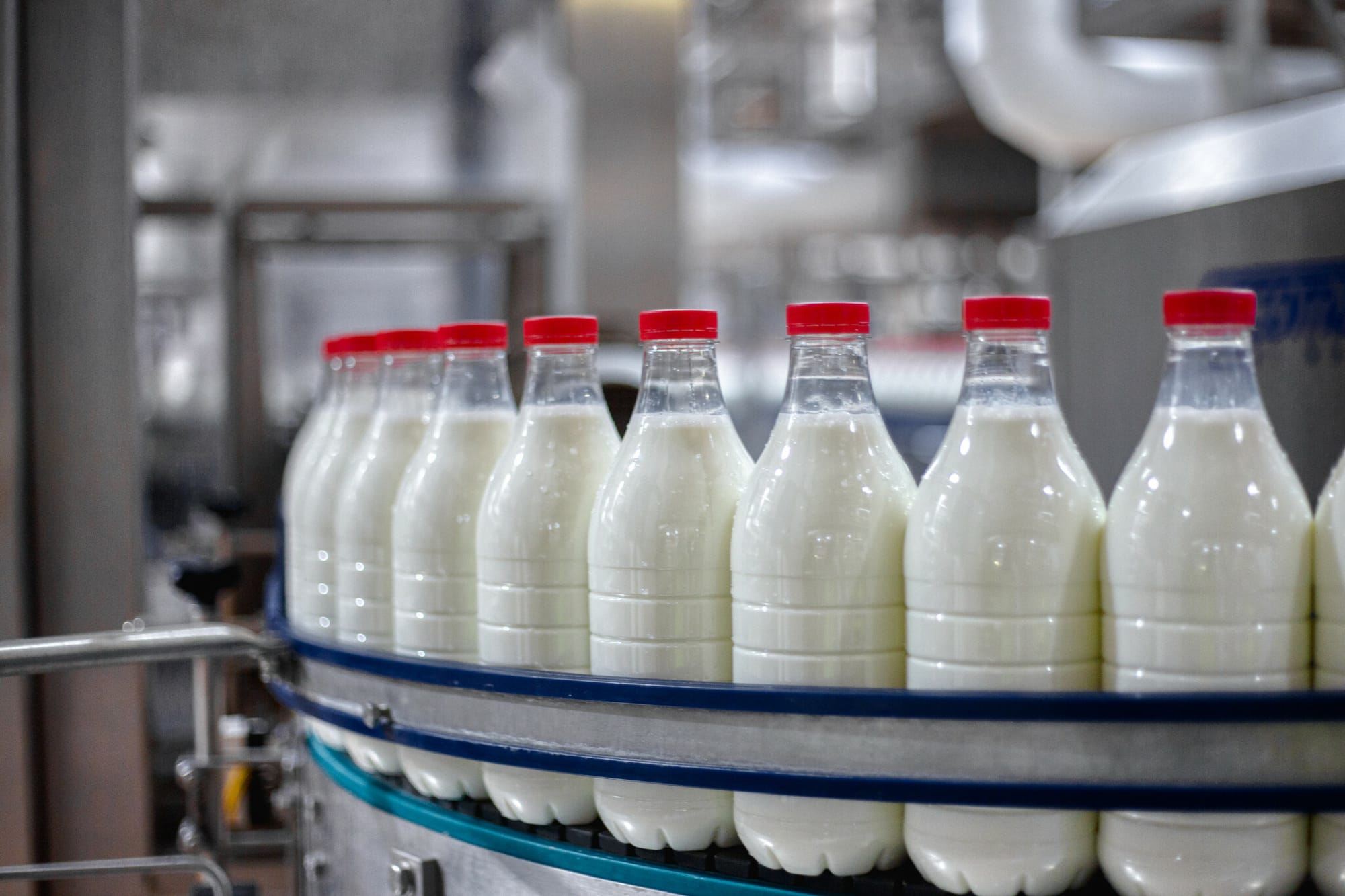 Предприятия КР выступили против установления закупочной цены на молоко на уровне 40 сомов за литр