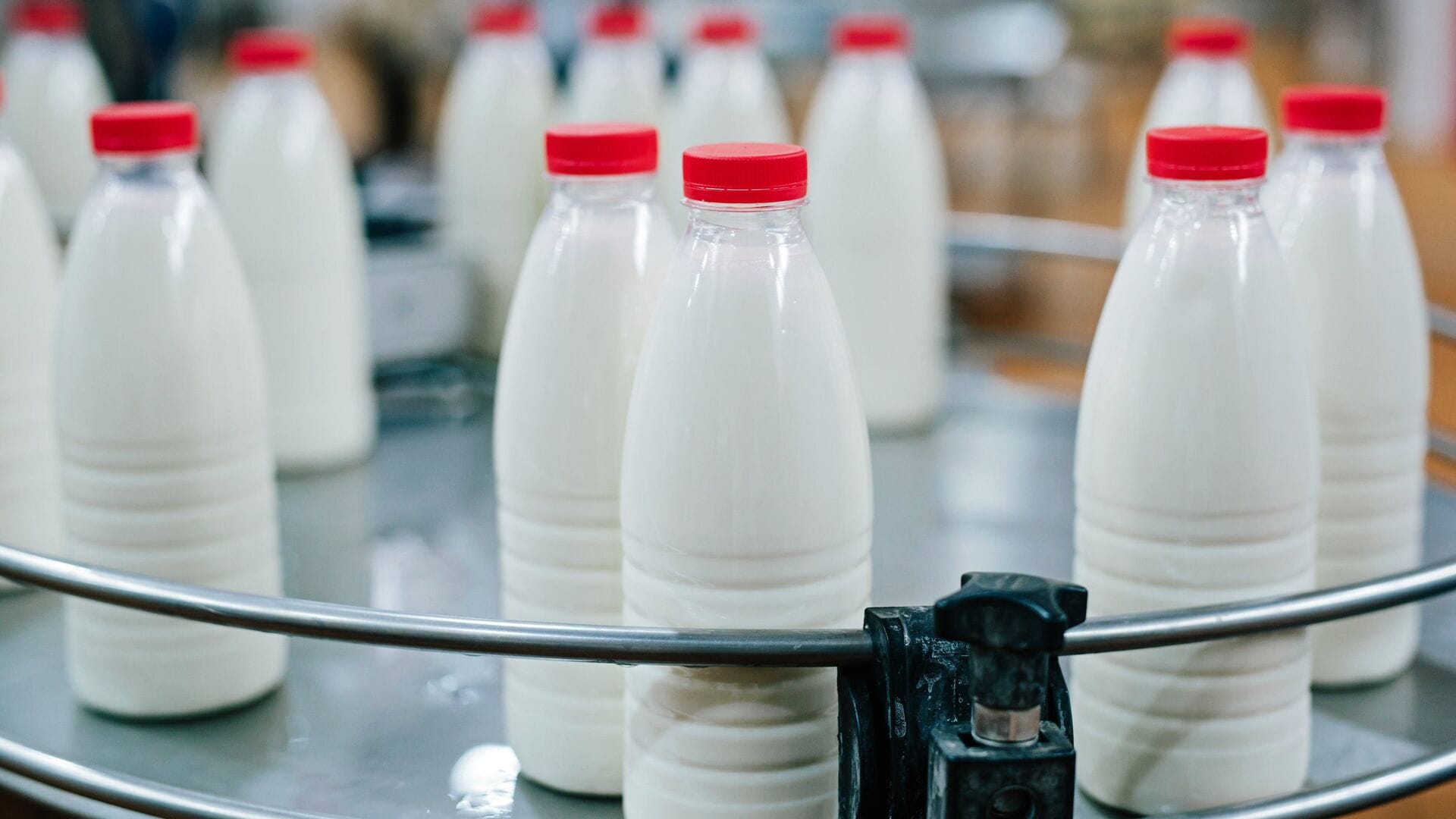 Мы сдаем предприятиям молоко по 20 сомов, а в магазинах оно стоит 100 сомов – фермеры