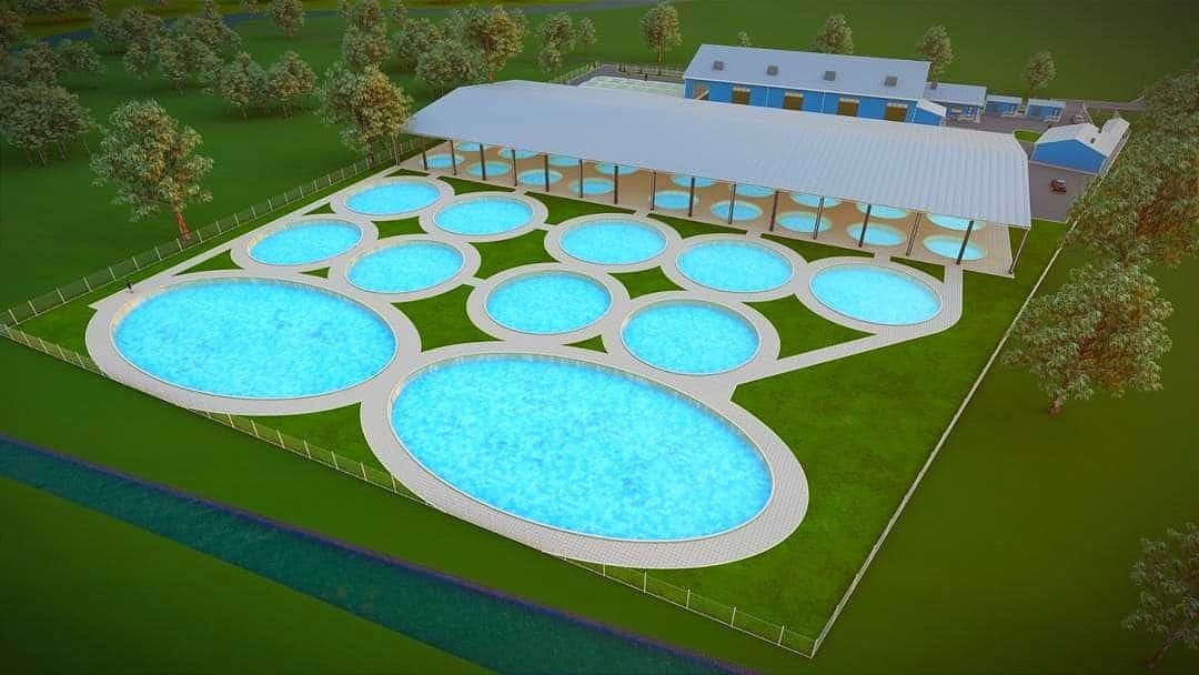На акватории Токтогульского водохранилища создадут осетровый кластер за 82 млн сомов
