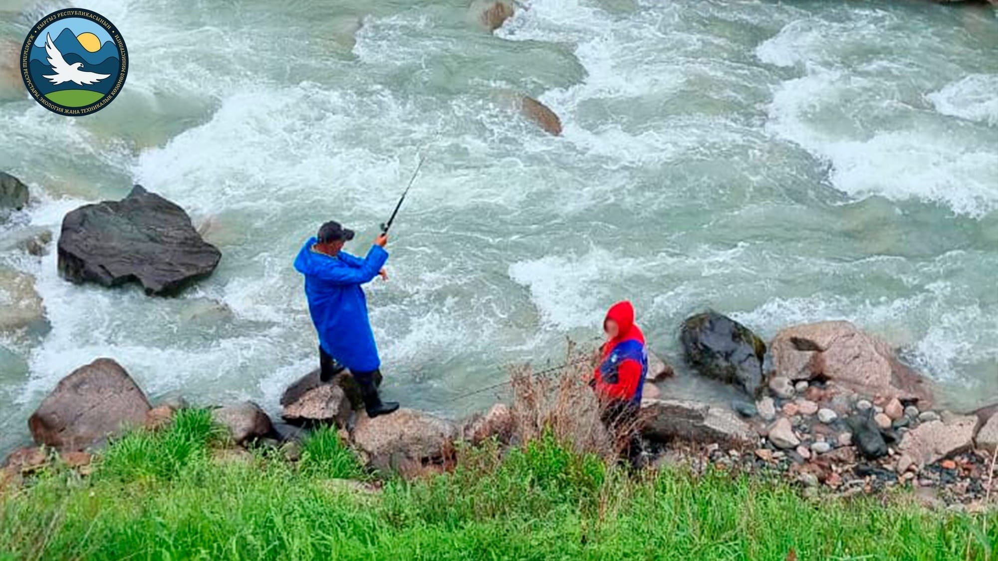 В Чуйской области оштрафовали браконьеров за ловлю рыбы в период нереста