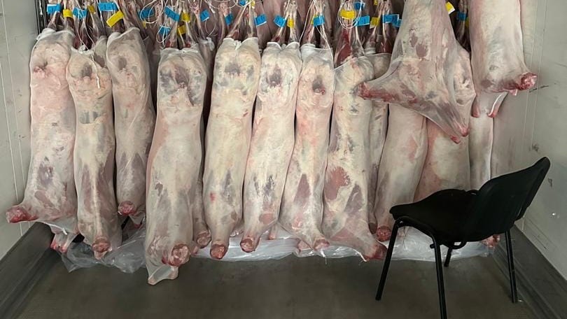 Компания «Торо» возобновила экспорт мяса в Иран