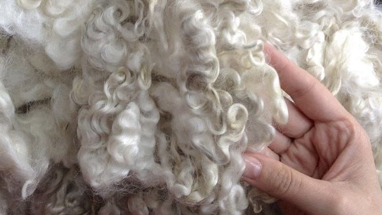 Предприятие в Бишкеке поставило более 20 тонн шерсти в Китай