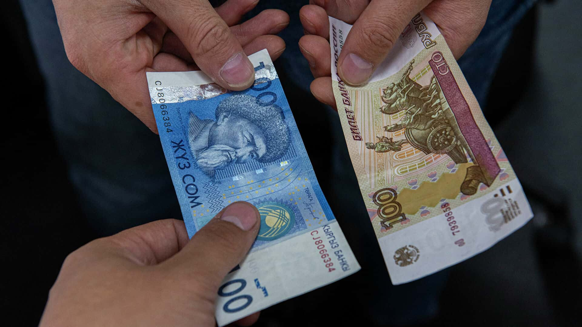 Сом укрепился к основным валютам, кроме рубля — курс НБКР на 6 июня