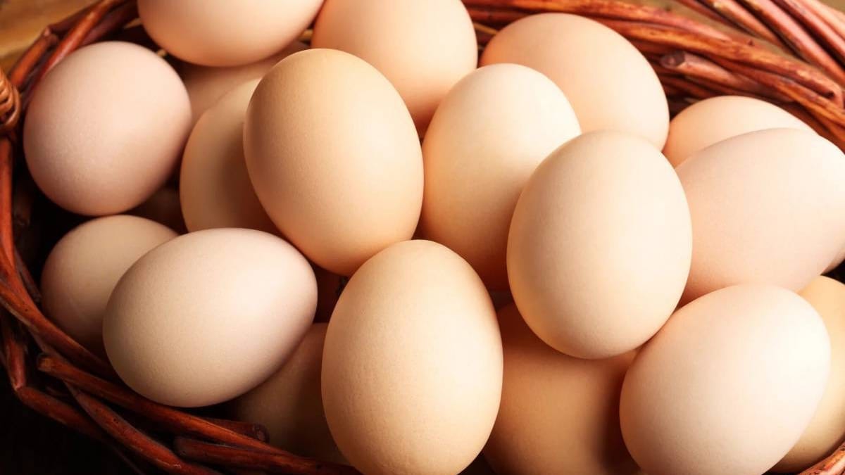 В Кыргызстане ввели запрет на импорт куриных яиц