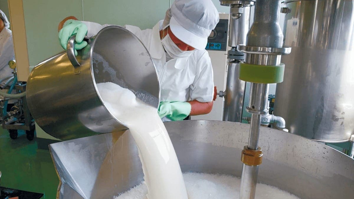 Кыргызстанские молокозаводы снижают приемку молока из-за цен – Минсельхоз