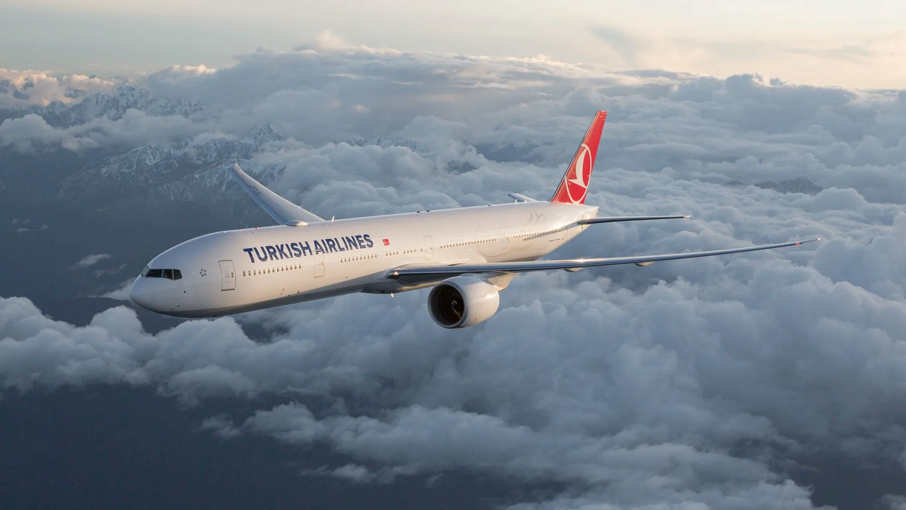 Агропродукцию из КР будут экспортировать в Шанхай рейсами Turkish Airlines по сниженным тарифам