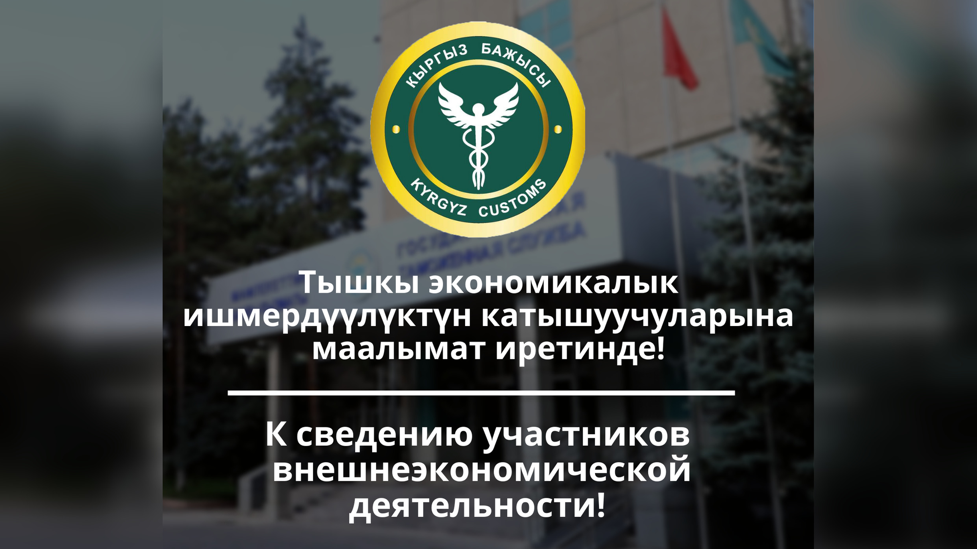 Инфосистемы Таможенной службы КР дали сбой — куда обращаться за помощью?