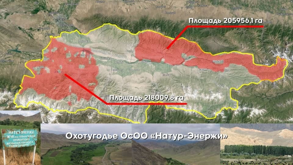 ГКНБ отобрал у ОПГ Кольбаева охотничьи угодья – по площади они занимают треть Таласской области