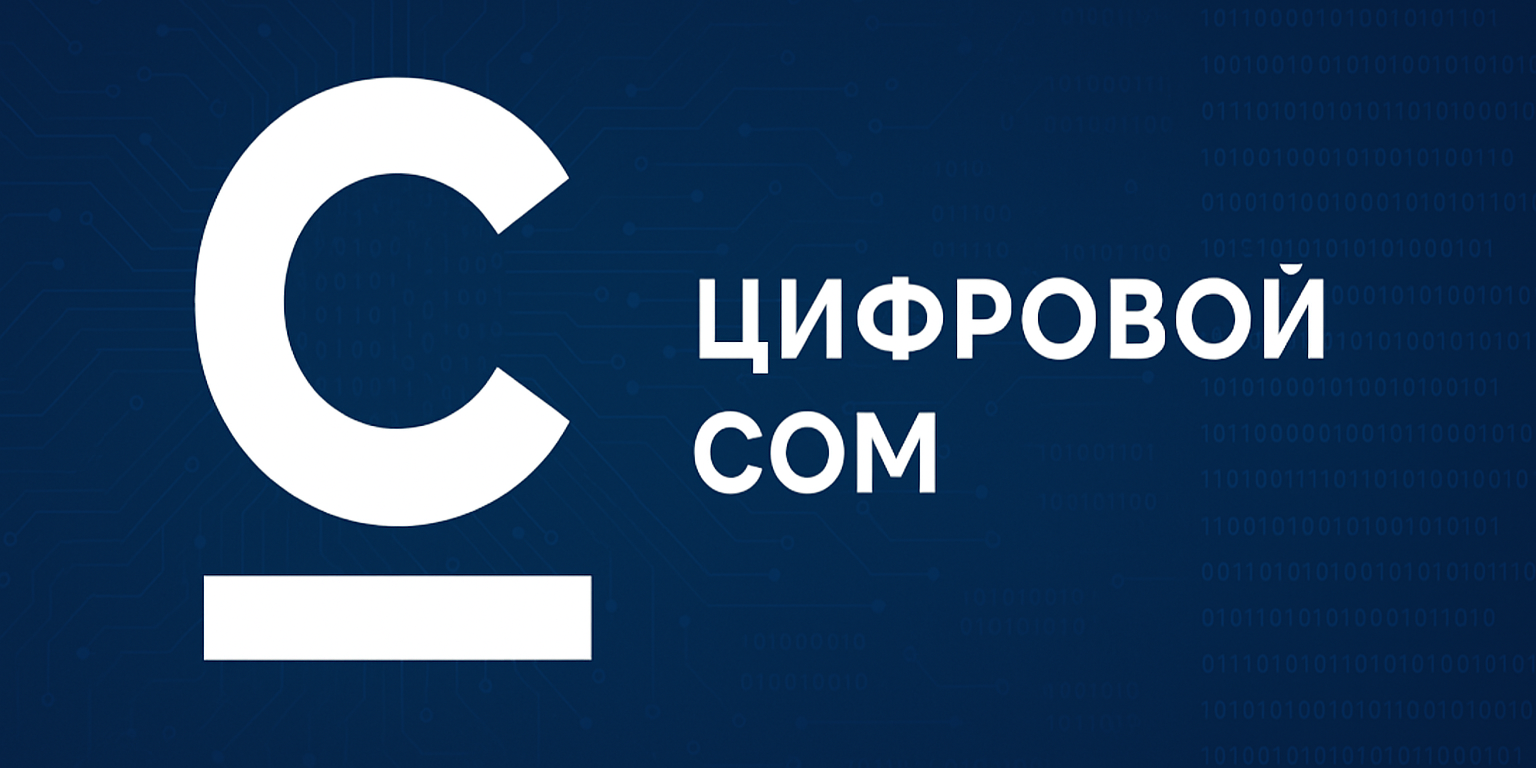 Что нужно знать о цифровом соме — главные детали от Нацбанка