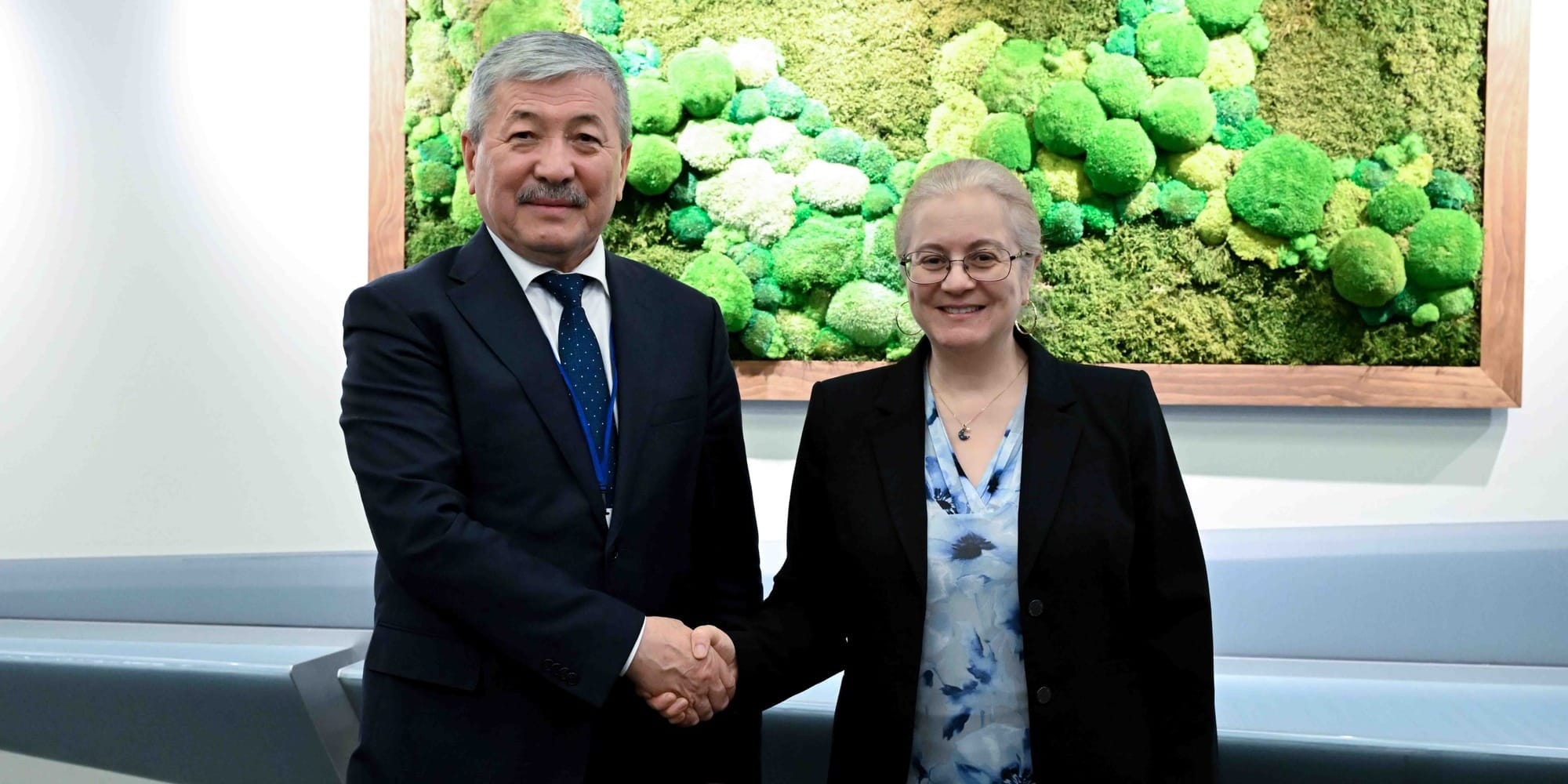 IFC готова инвестировать в ВИЭ и водоснабжение Кыргызстана более $130 млн