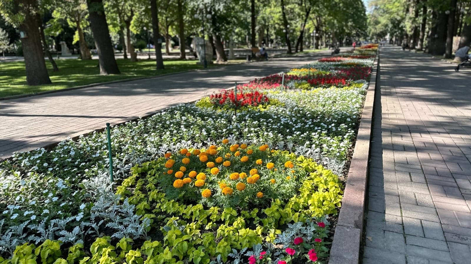 Бишкек украсят 1.6 млн цветов: сезонная высадка завершена на 70%