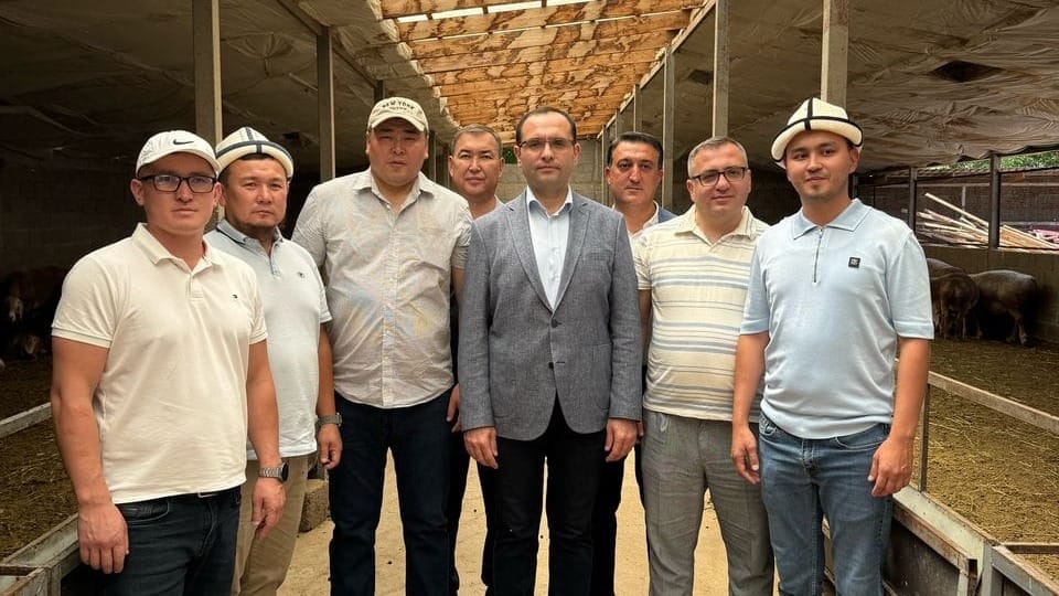 Фермеры КР представил главе Минсельхоза Азербайджана арашанскую породу скота
